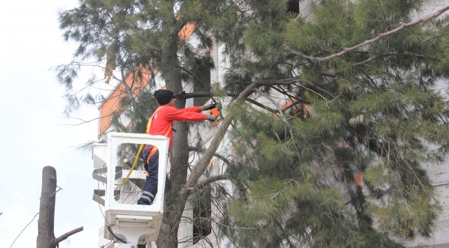 Çiğli Belediyesi'nden 10 Binlik Rekor