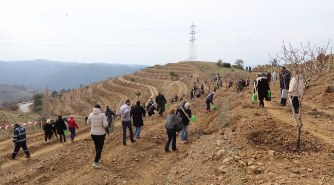 Kampanyanın İlk Fidanları Toprakla Buluştu