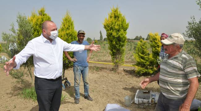 Başkan Utku Gümrükçü Çiftçiler Günü'nü Makamda Değil Tarlada Kutladı