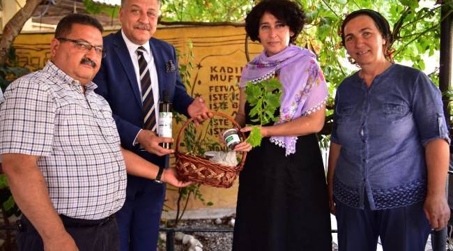 Bornova'da bamya hasadı başladı