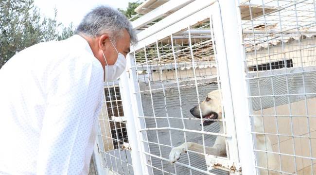 Güzelbahçe Belediyesi'nden Can Dostlara Yeni Yuva