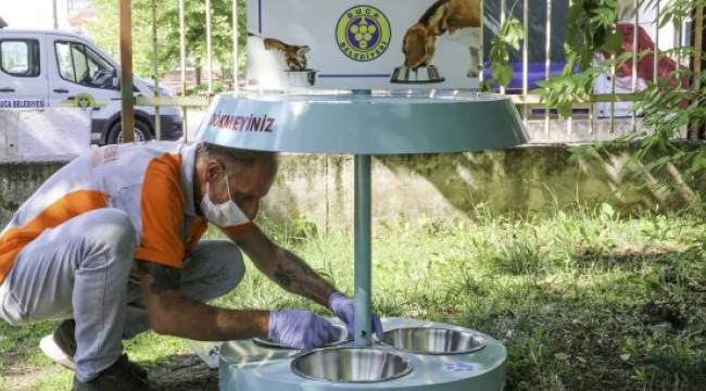 İzmir sıcaklarında Buca Belediyesi'nde mama ve su seferberliği