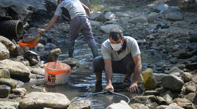 Su birikintisinde mahsur kalan balık yavruları kurtarıldı