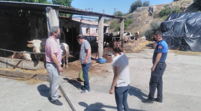 Bergama'da kurban kesim yerleri denetlendi 