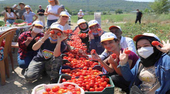 "Gönüllü Son Hasat Yayım Projesi"