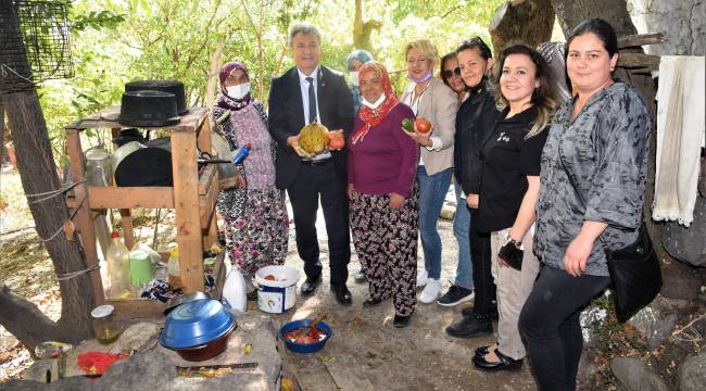 Bornova'da Zeytin Yetiştirme Teknikleri eğitimi