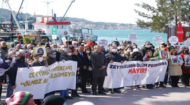 Ayvalık Zeytini İçin Direniyor