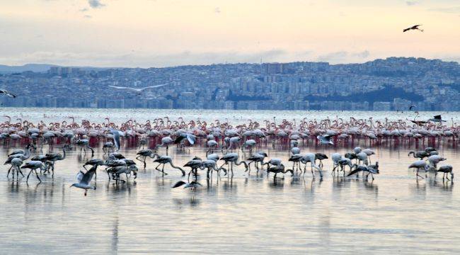 Gediz Deltası "Birding Places" Ağına Dahil Oldu