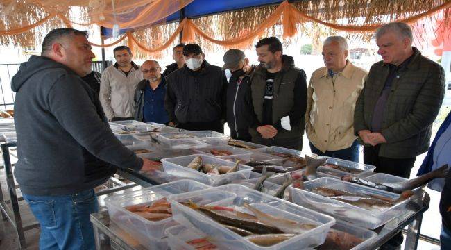 Narlıdere'de balık mezatı başladı