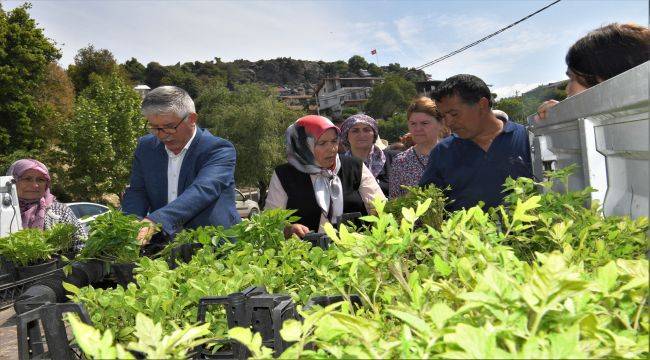 Tarıma 4,5 milyon "Atalık destek"