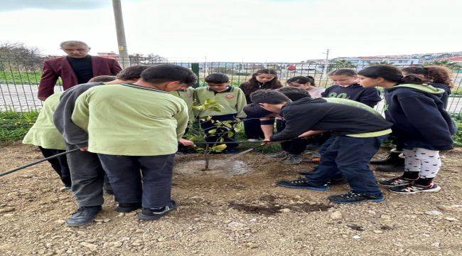 Çeşme'de okul bahçeleri meyve bahçesine dönüşüyor