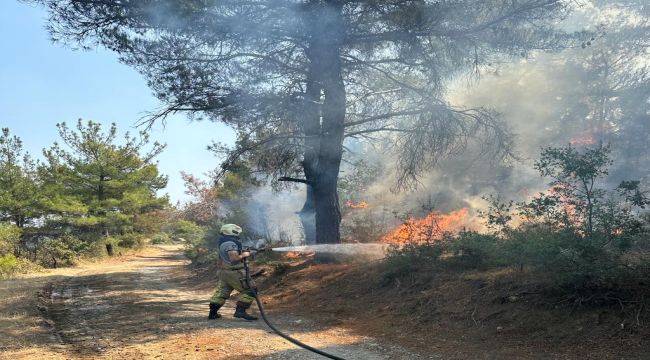 Çanakkale'deki yangına İzmir'den destek