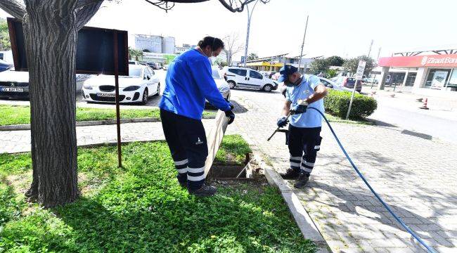 İzmir Büyükşehir Belediyesi ilaçlama çalışmalarına hız verdi