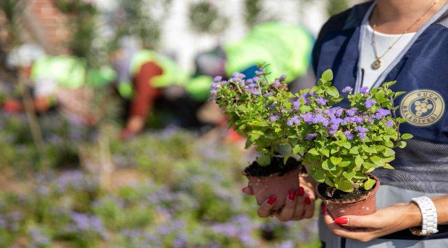 Buca'nın caddeleri çiçek açtı